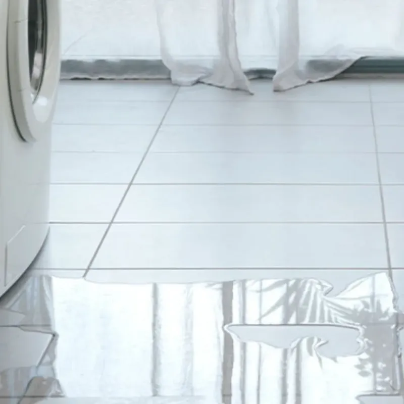 Appliance Leak Cleanup in Luck, WI