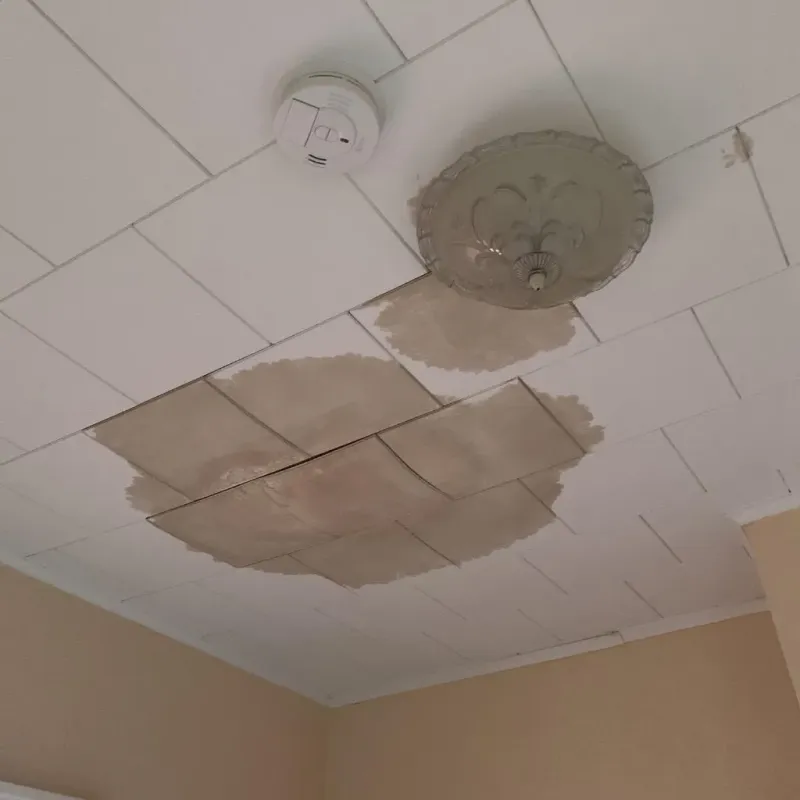 Ceiling Water Damage Repair in Luck, WI