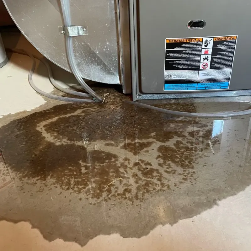 Pipe Burst and Leak Restoration in Luck, WI