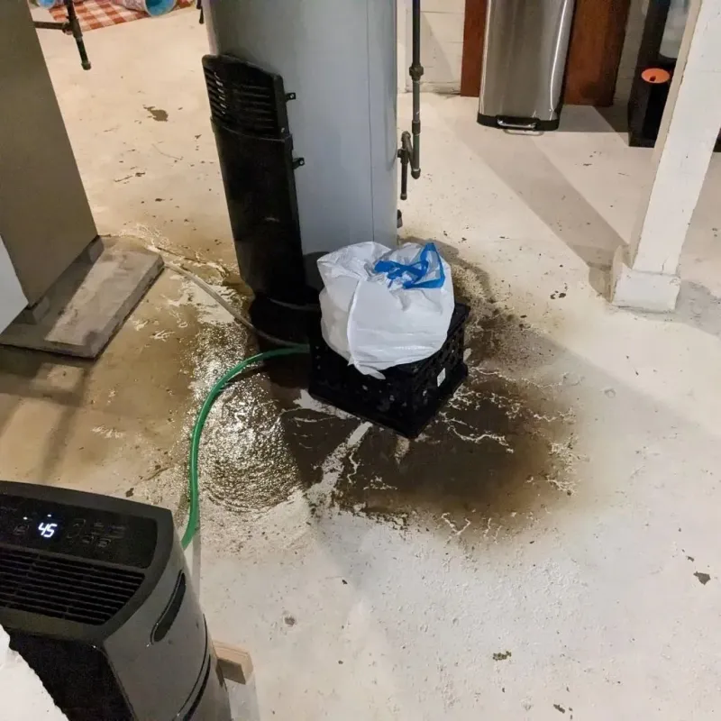 Sewage Backup Cleanup Service in Luck, WI